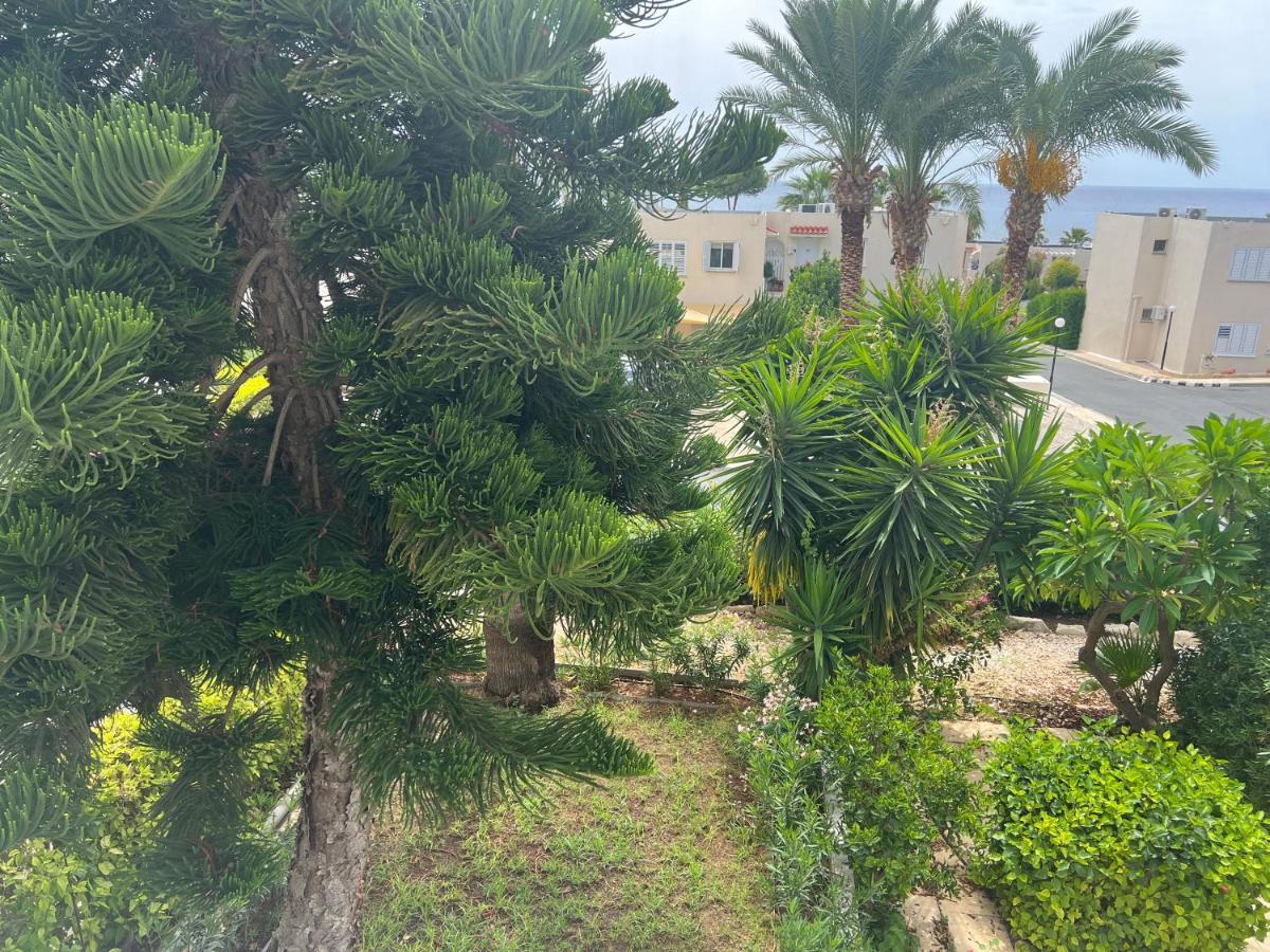 Apartmán Modern Seaview Townhouse In Coral Bay (Adults Only) Pegeia Exteriér fotografie
