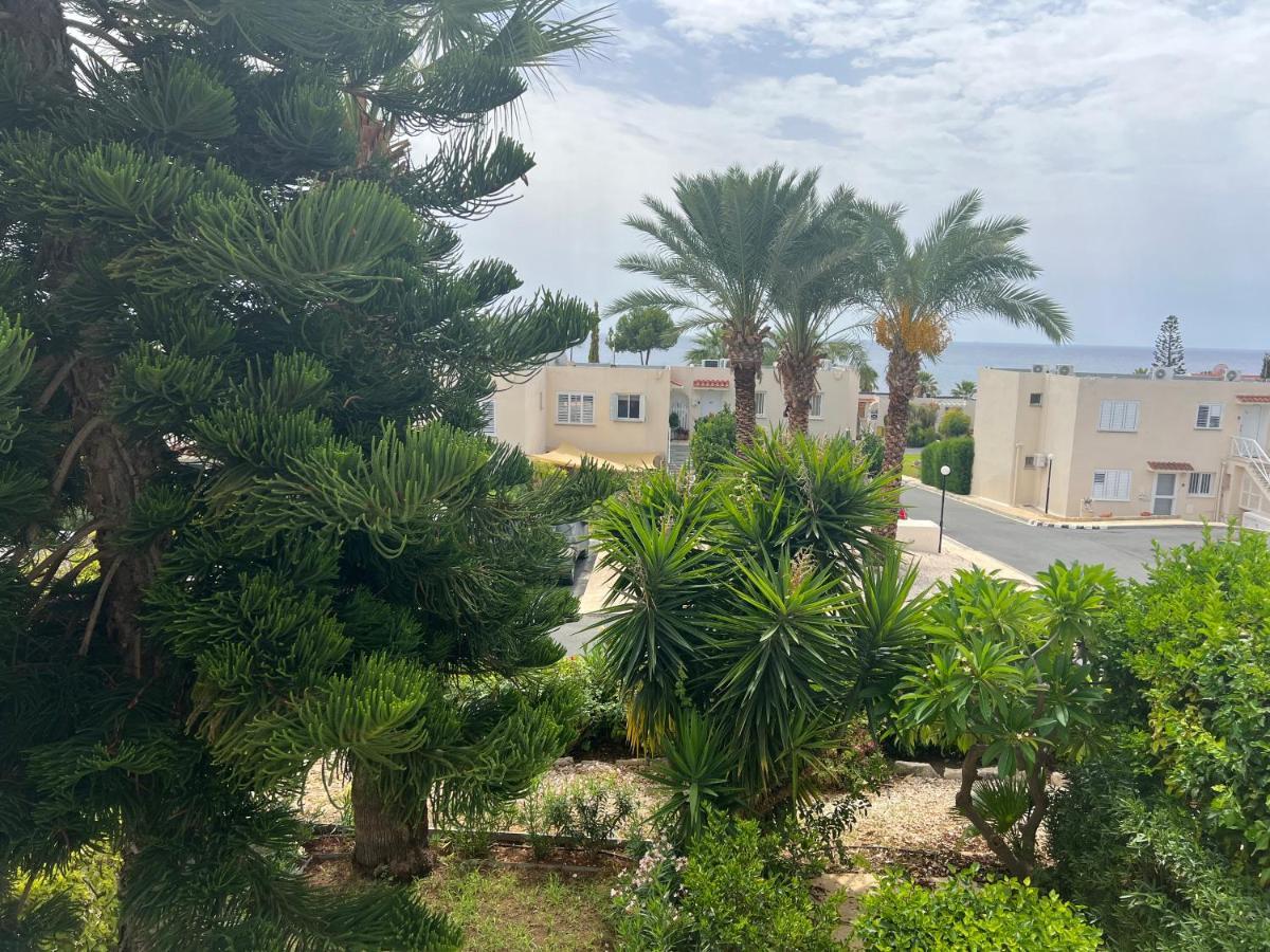 Apartmán Modern Seaview Townhouse In Coral Bay (Adults Only) Pegeia Exteriér fotografie