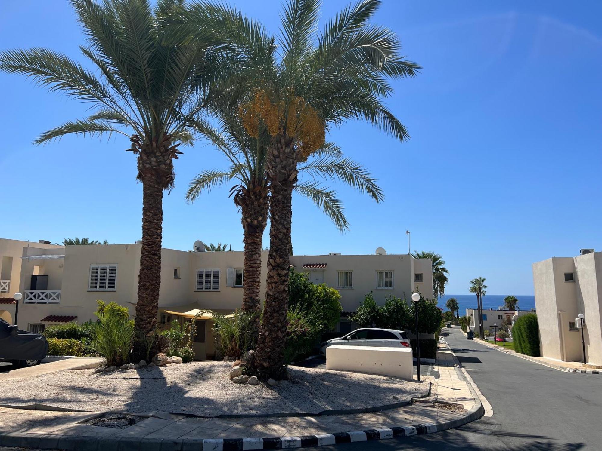 Apartmán Modern Seaview Townhouse In Coral Bay (Adults Only) Pegeia Exteriér fotografie