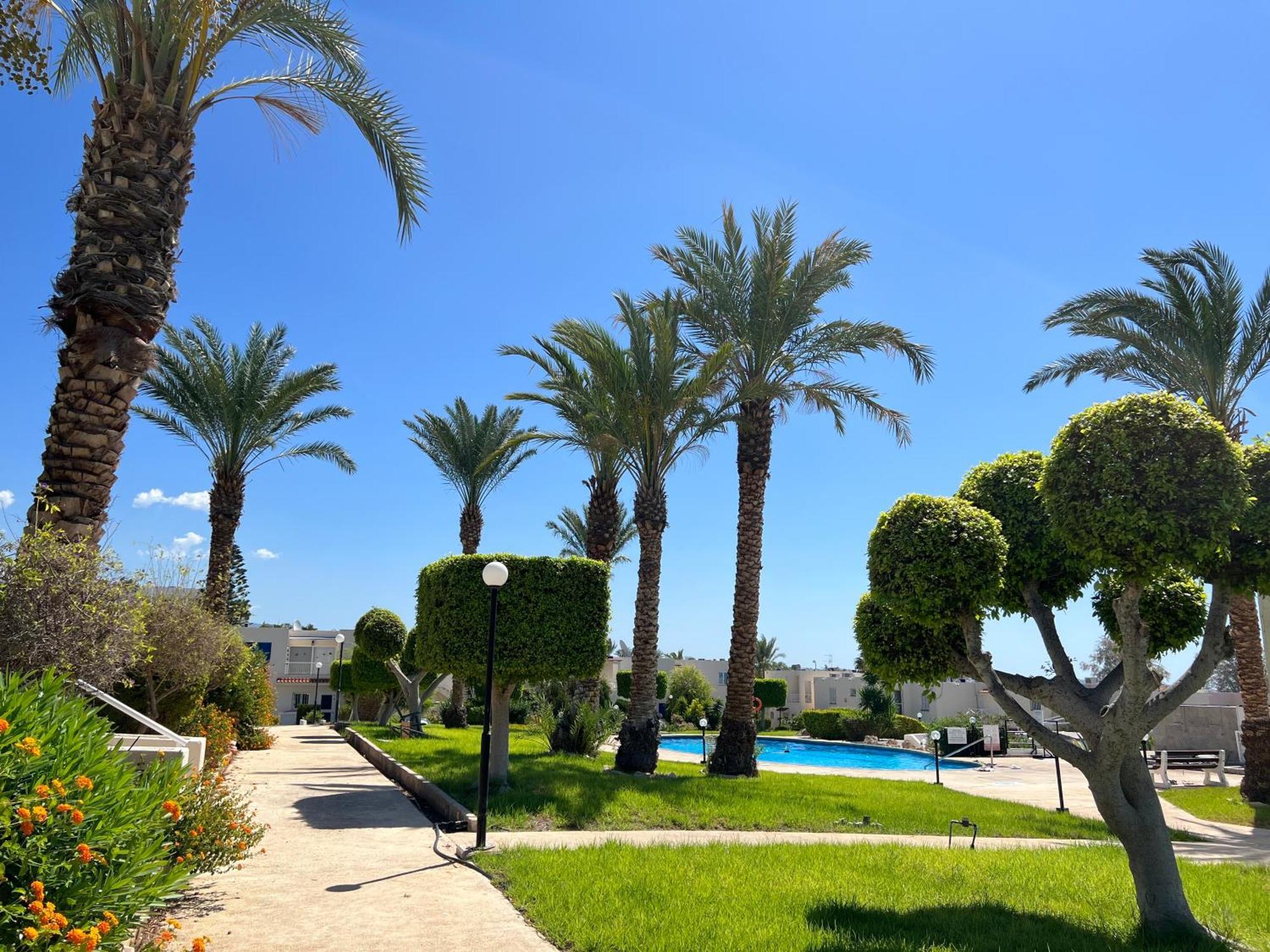 Apartmán Modern Seaview Townhouse In Coral Bay (Adults Only) Pegeia Exteriér fotografie